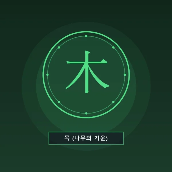 오행 캐릭터